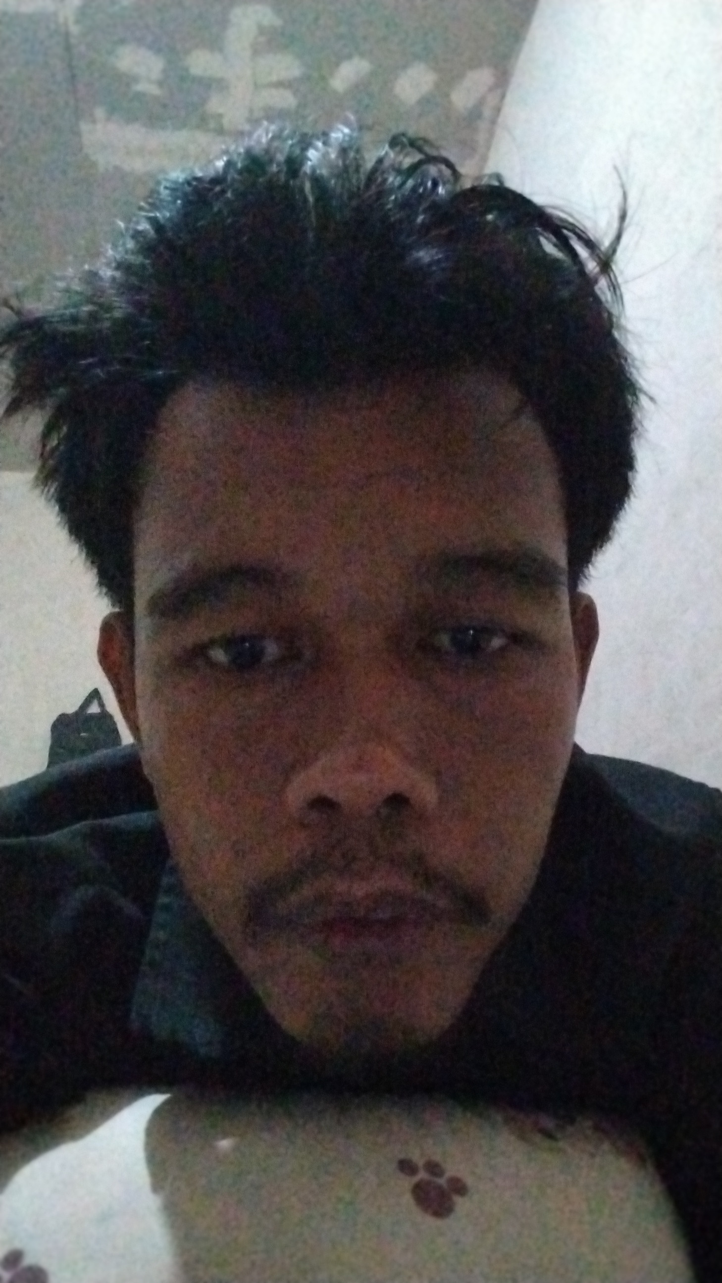 faisal bahri Profile Picture