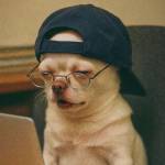 Thomas Hughes Profile Picture