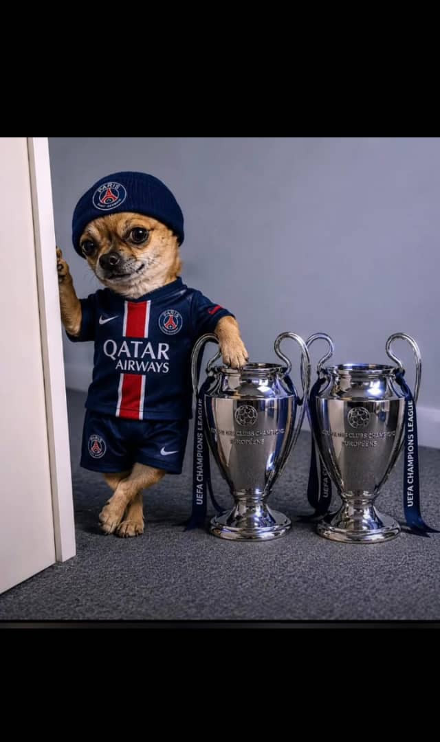 Daniel Samuel Profile Picture