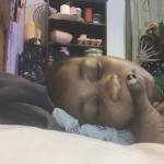 Rosheedat Fadekemi Profile Picture